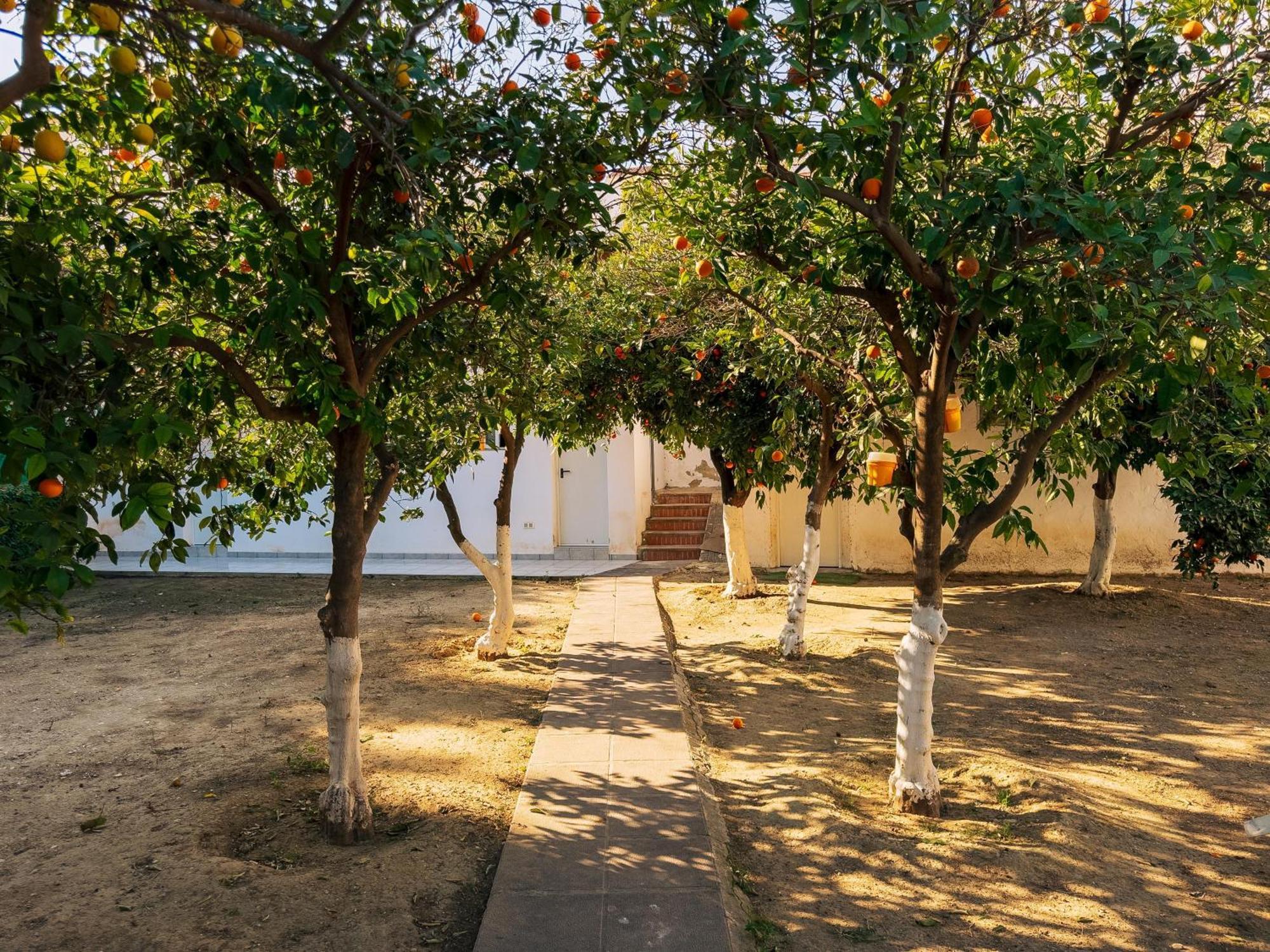 Charming Country House Torremolinos Luaran gambar